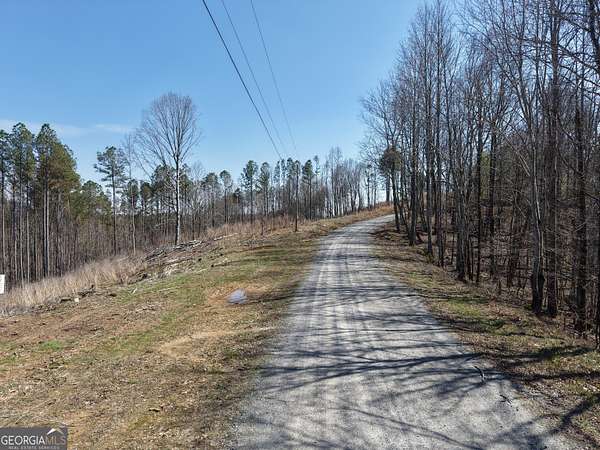 47 Acres of Recreational Land for Sale in Fairmount, Georgia