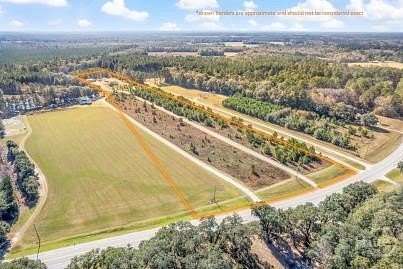 17.1 Acres of Improved Mixed-Use Land for Sale in Ellabell, Georgia