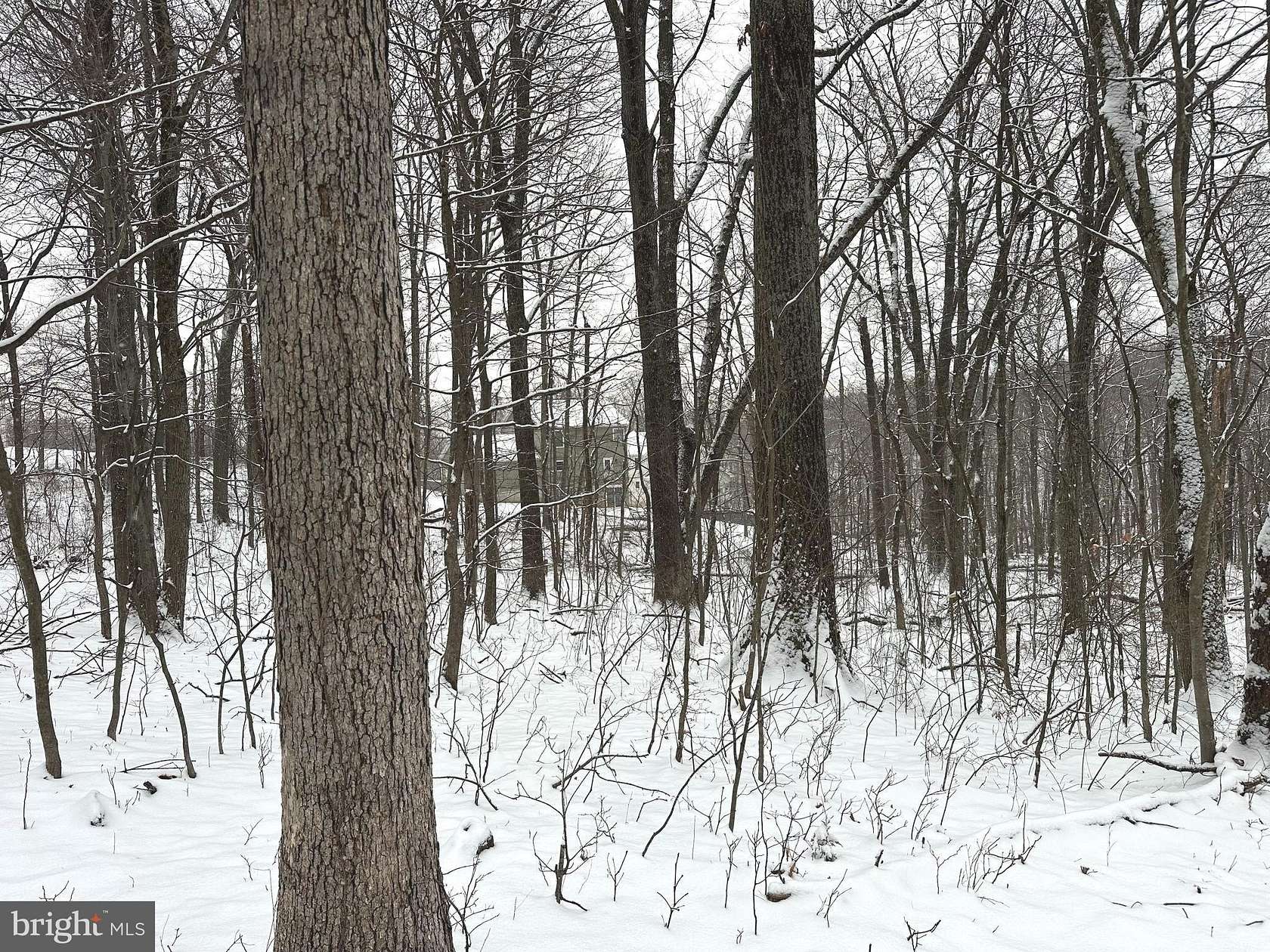 0.3 Acres of Residential Land for Sale in Winchester, Virginia