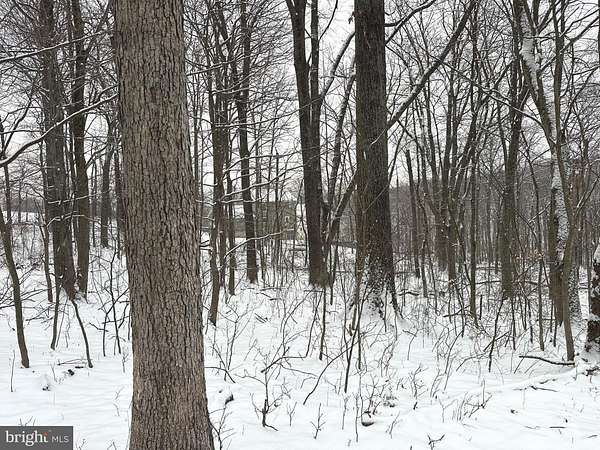 0.3 Acres of Residential Land for Sale in Winchester, Virginia