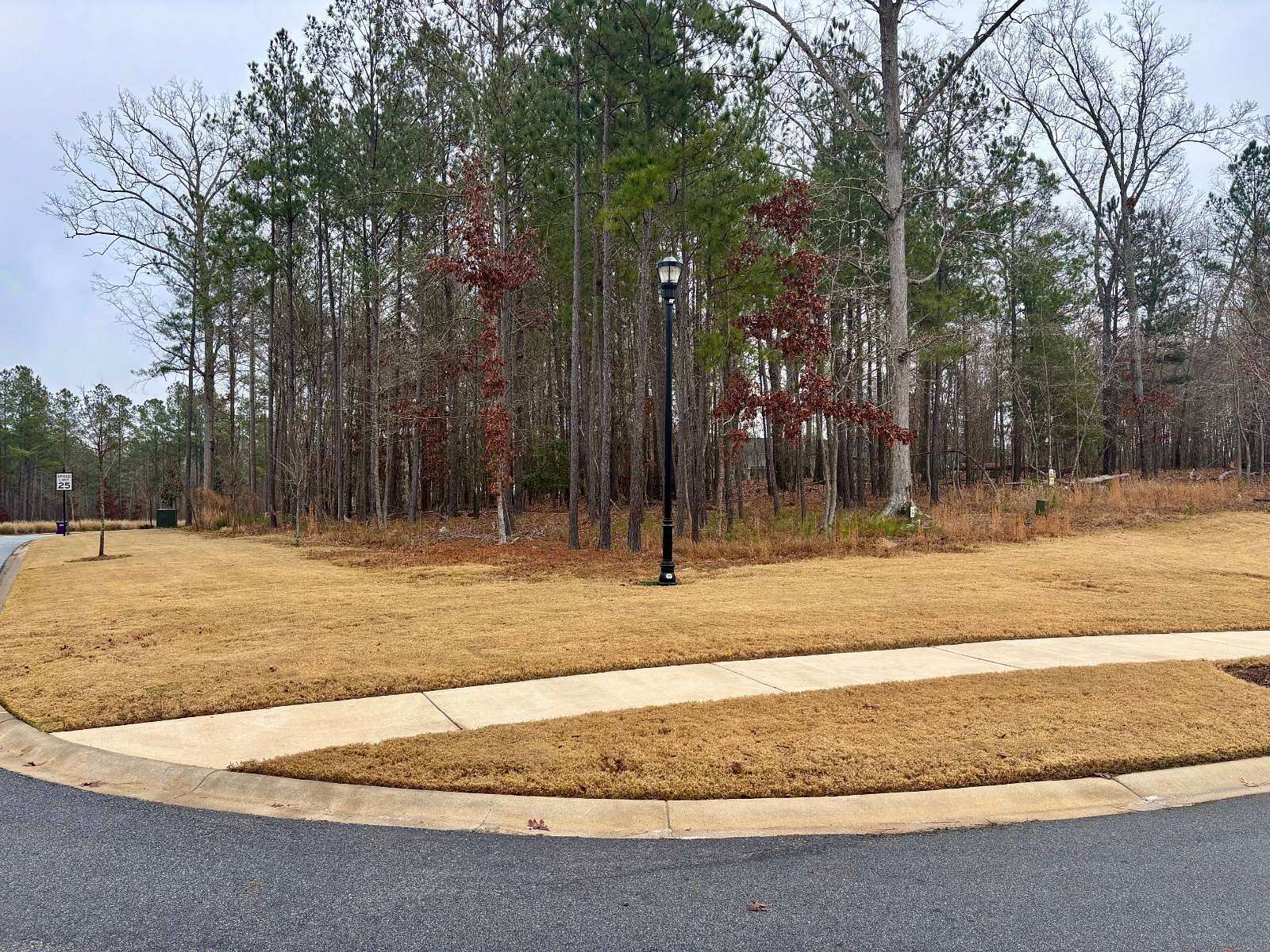 0.26 Acres of Land for Sale in Prosperity, South Carolina