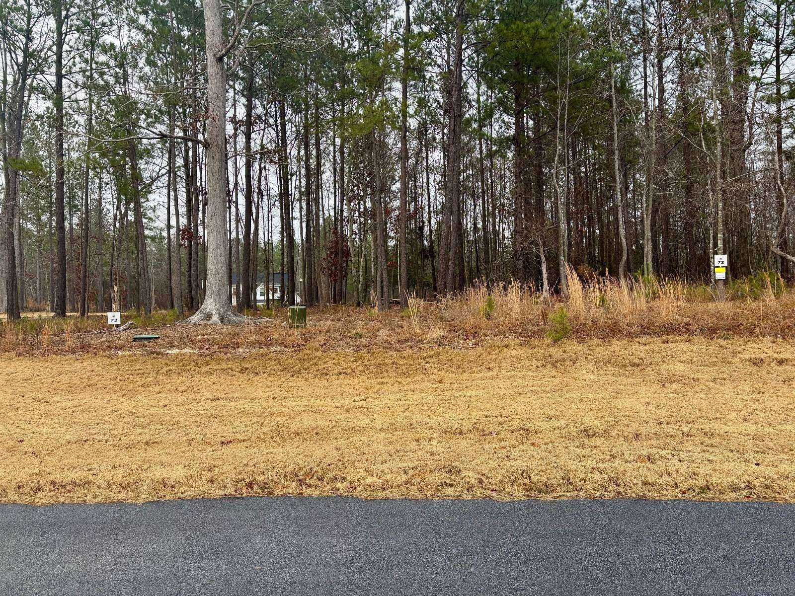 0.26 Acres of Land for Sale in Prosperity, South Carolina