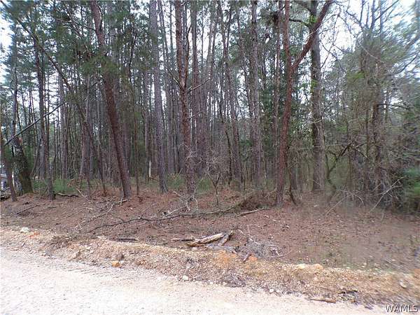 2 Acres of Residential Land for Sale in McCalla, Alabama