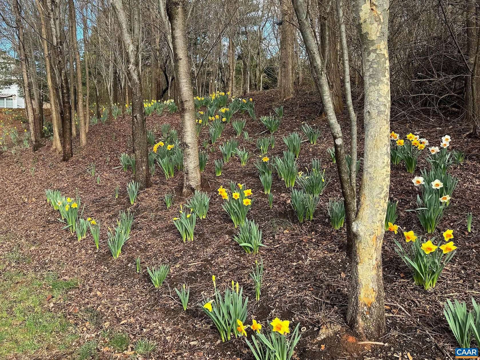 0.64 Acres of Residential Land for Sale in Crozet, Virginia