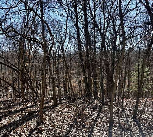0.32 Acres of Land for Sale in Negley, Ohio