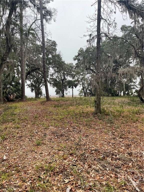 5.6 Acres of Land for Sale in Townsend, Georgia