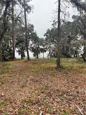 5.6 Acres of Land for Sale in Townsend, Georgia