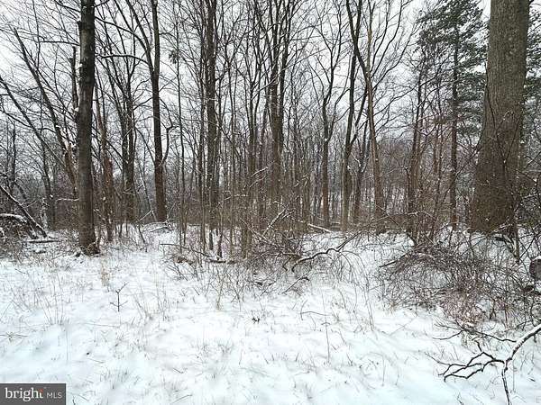 0.27 Acres of Residential Land for Sale in Winchester, Virginia