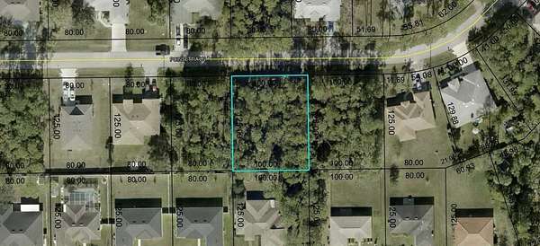 0.29 Acres of Land for Sale in Palm Coast, Florida