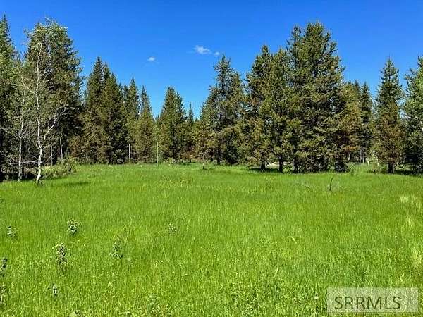 5 Acres of Land for Sale in Island Park, Idaho
