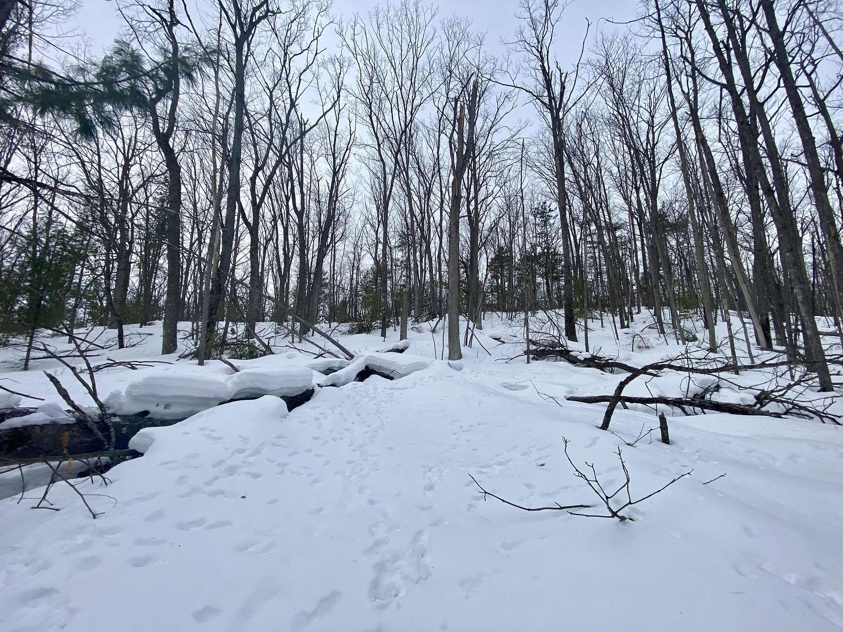 0.86 Acres of Land for Sale in Frederic, Michigan