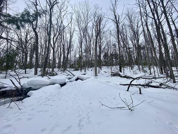 0.86 Acres of Land for Sale in Frederic, Michigan