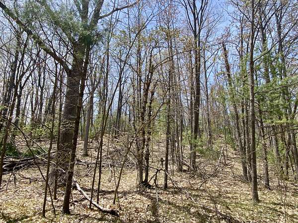 0.86 Acres of Land for Sale in Frederic, Michigan