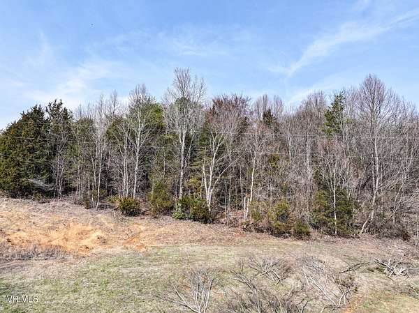 11.6 Acres of Recreational & Residential Land for Sale in Chuckey, Tennessee