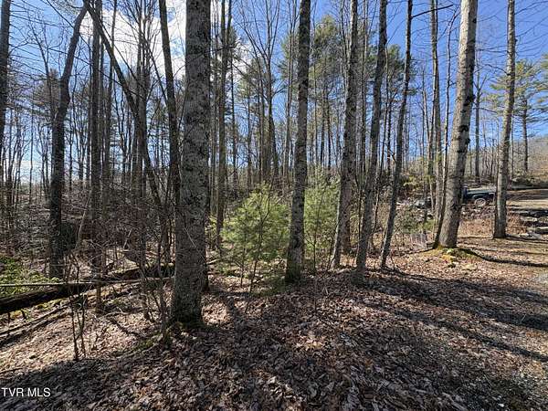 0.36 Acres of Land for Sale in Butler, Tennessee