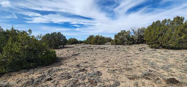 40.7 Acres of Recreational & Residential Land for Sale in Vernon, Arizona