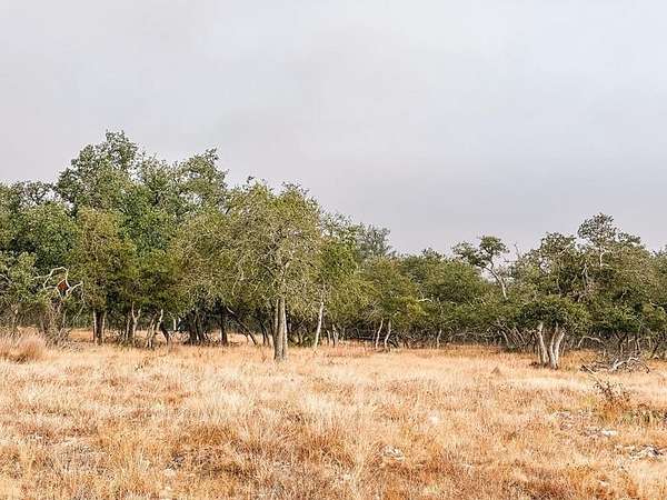 4.3 Acres of Residential Land for Sale in Harper, Texas