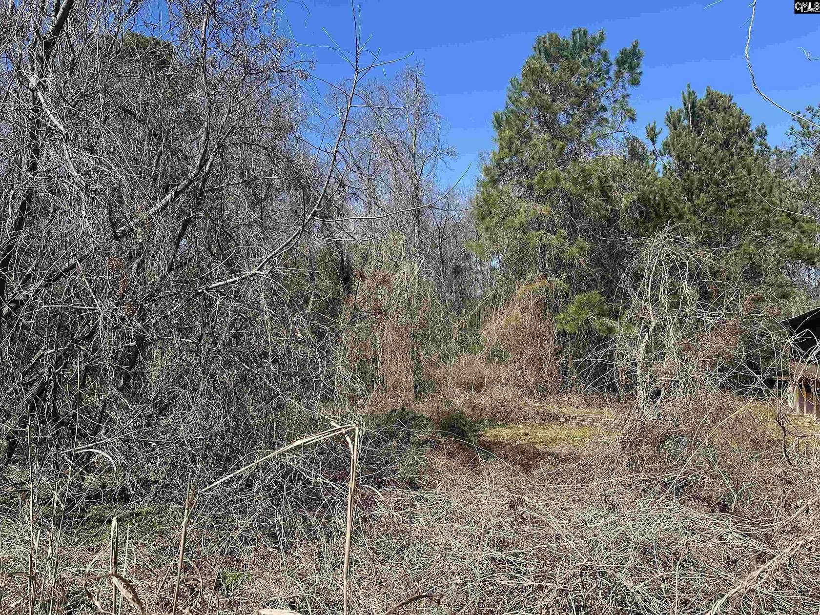 0.2 Acres of Residential Land for Sale in Columbia, South Carolina