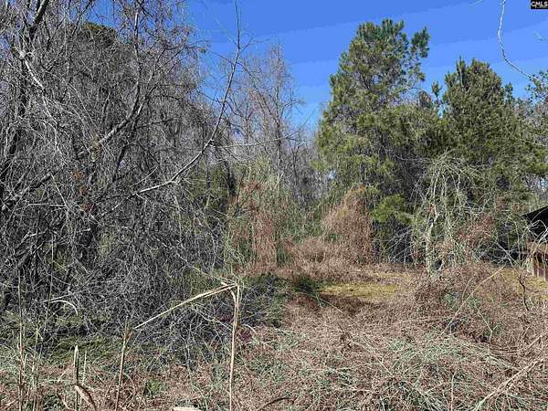 0.2 Acres of Residential Land for Sale in Columbia, South Carolina