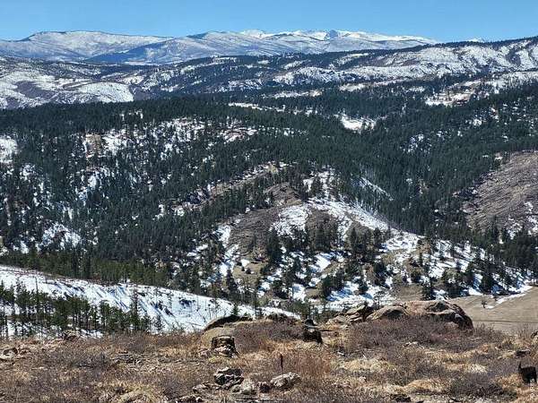 12.2 Acres of Land for Sale in Bellvue, Colorado