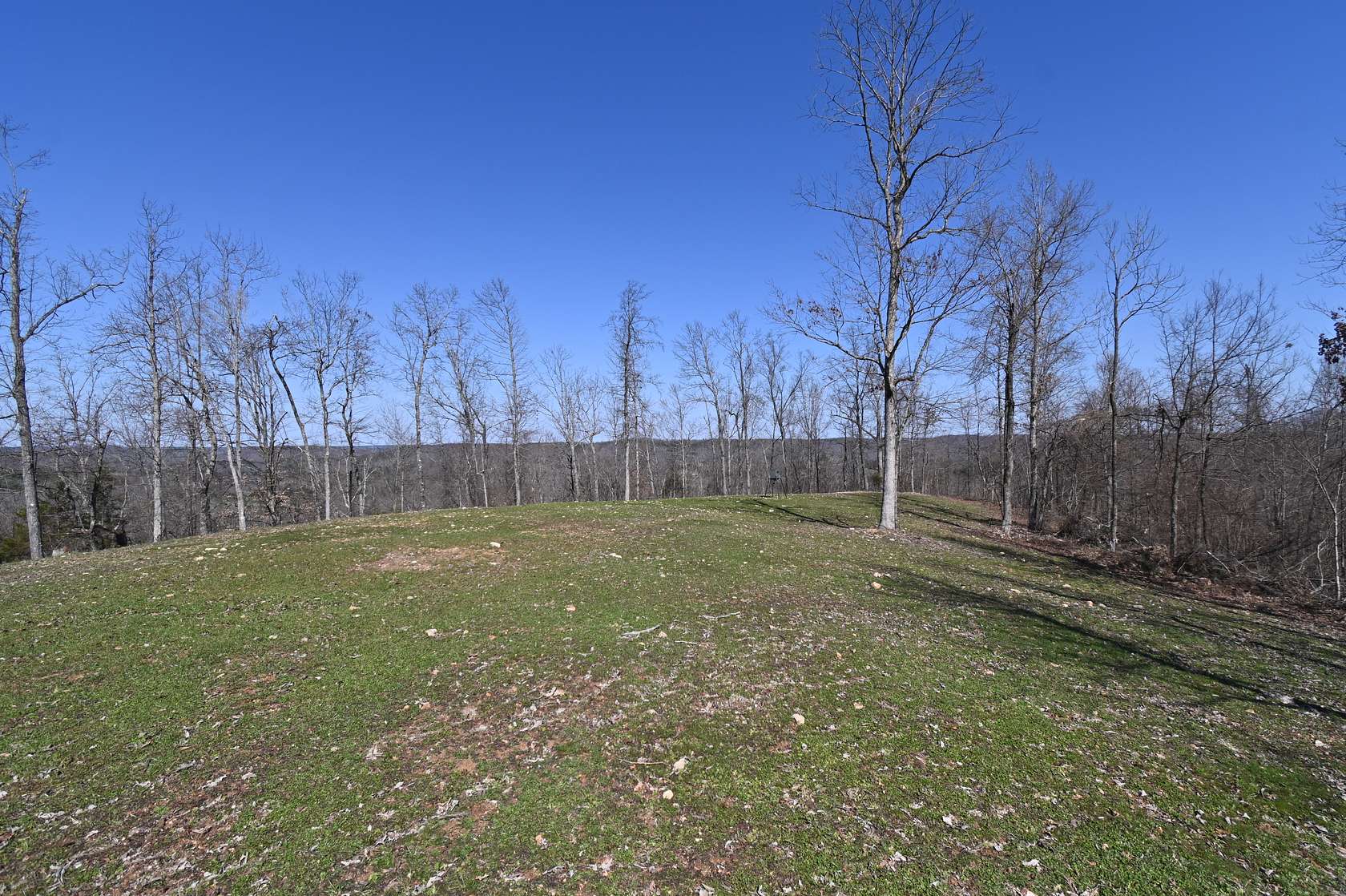 108 Acres of Land for Sale in Clifton, Tennessee