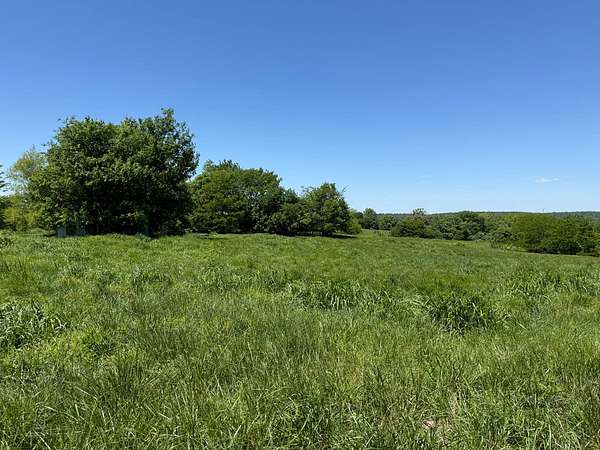 145 Acres of Recreational & Residential Land for Sale in Golconda, Illinois