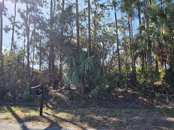 0.23 Acres of Residential Land for Sale in Palm Bay, Florida