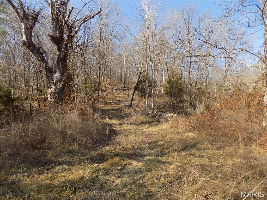 32 Acres of Land for Sale in Lesterville, Missouri