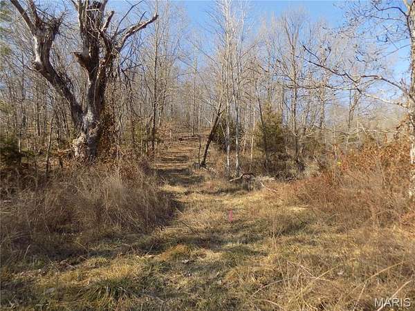 32 Acres of Land for Sale in Lesterville, Missouri