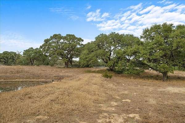 79.8 Acres of Land for Sale in Sheridan, Texas