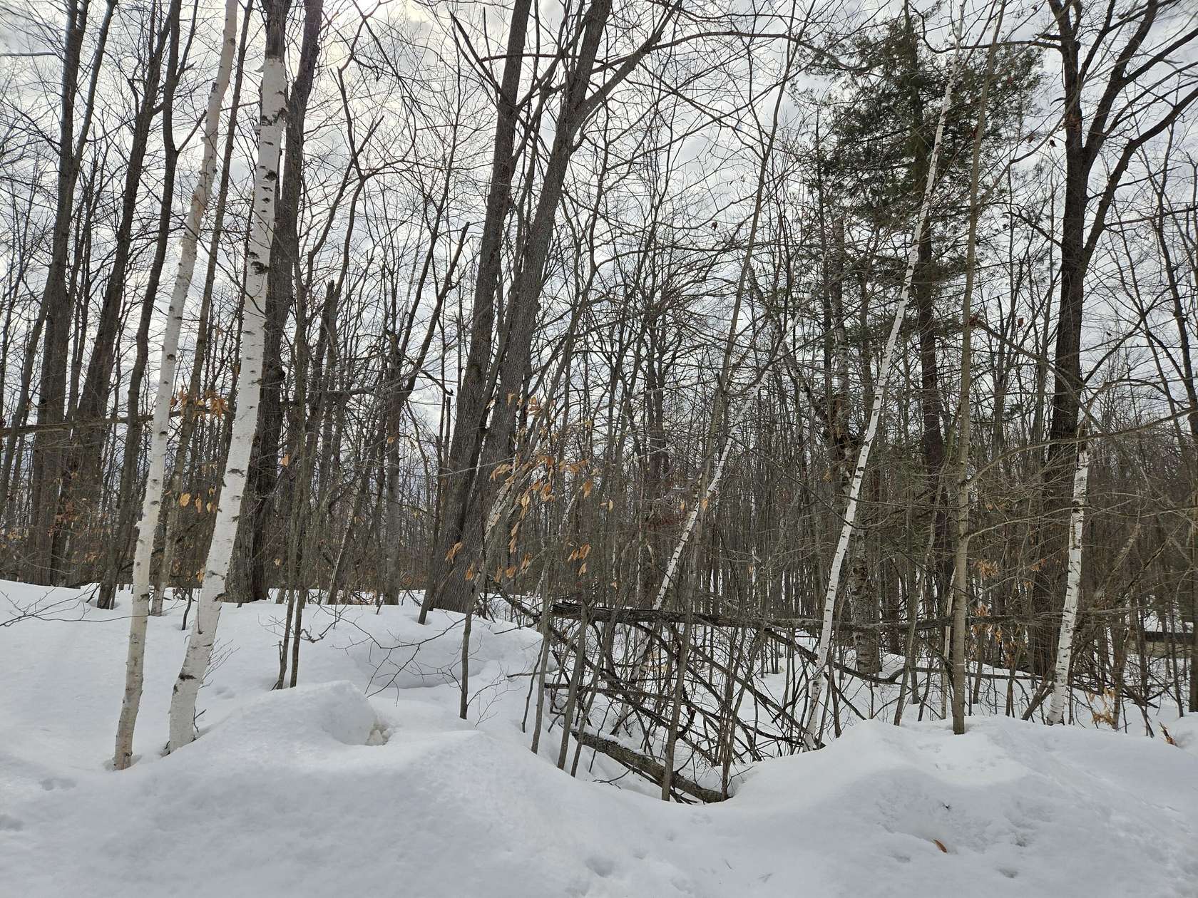 0.98 Acres of Land for Sale in Gaylord, Michigan