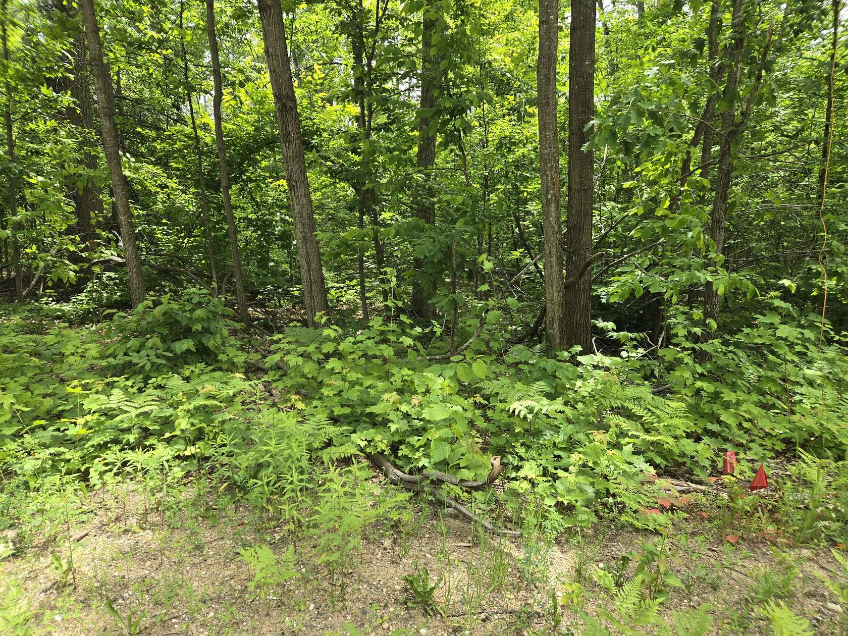 0.98 Acres of Land for Sale in Gaylord, Michigan