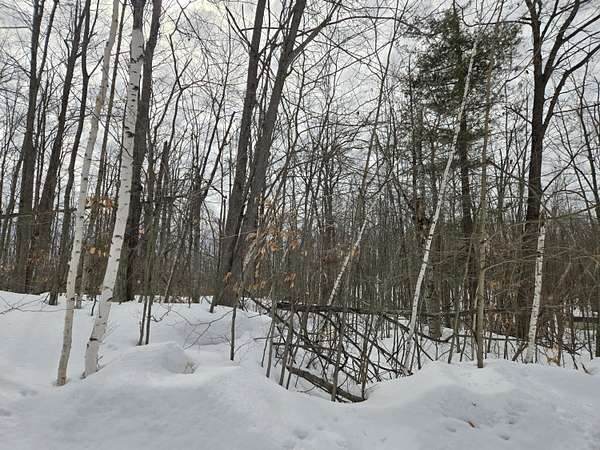 0.98 Acres of Land for Sale in Gaylord, Michigan