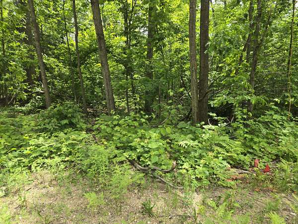 0.98 Acres of Land for Sale in Gaylord, Michigan