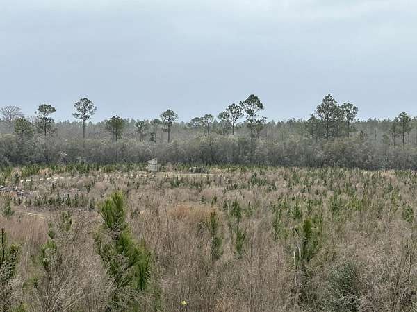 39.6 Acres of Recreational Land for Sale in Bonifay, Florida