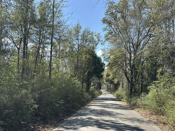 39.6 Acres of Recreational Land for Sale in Bonifay, Florida