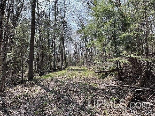 40 Acres of Recreational Land for Sale in Gwinn, Michigan