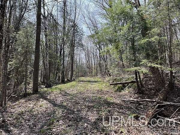 40 Acres of Recreational Land for Sale in Gwinn, Michigan