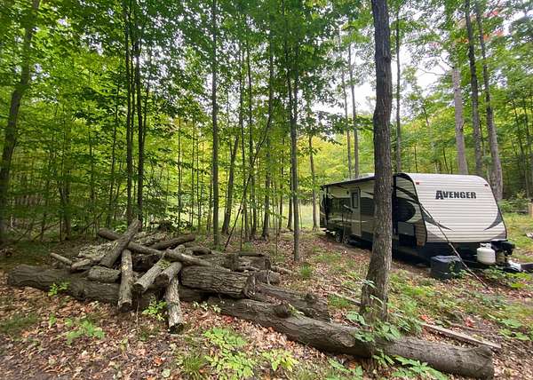 7.86 Acres of Residential Land for Sale in Fairview, Michigan