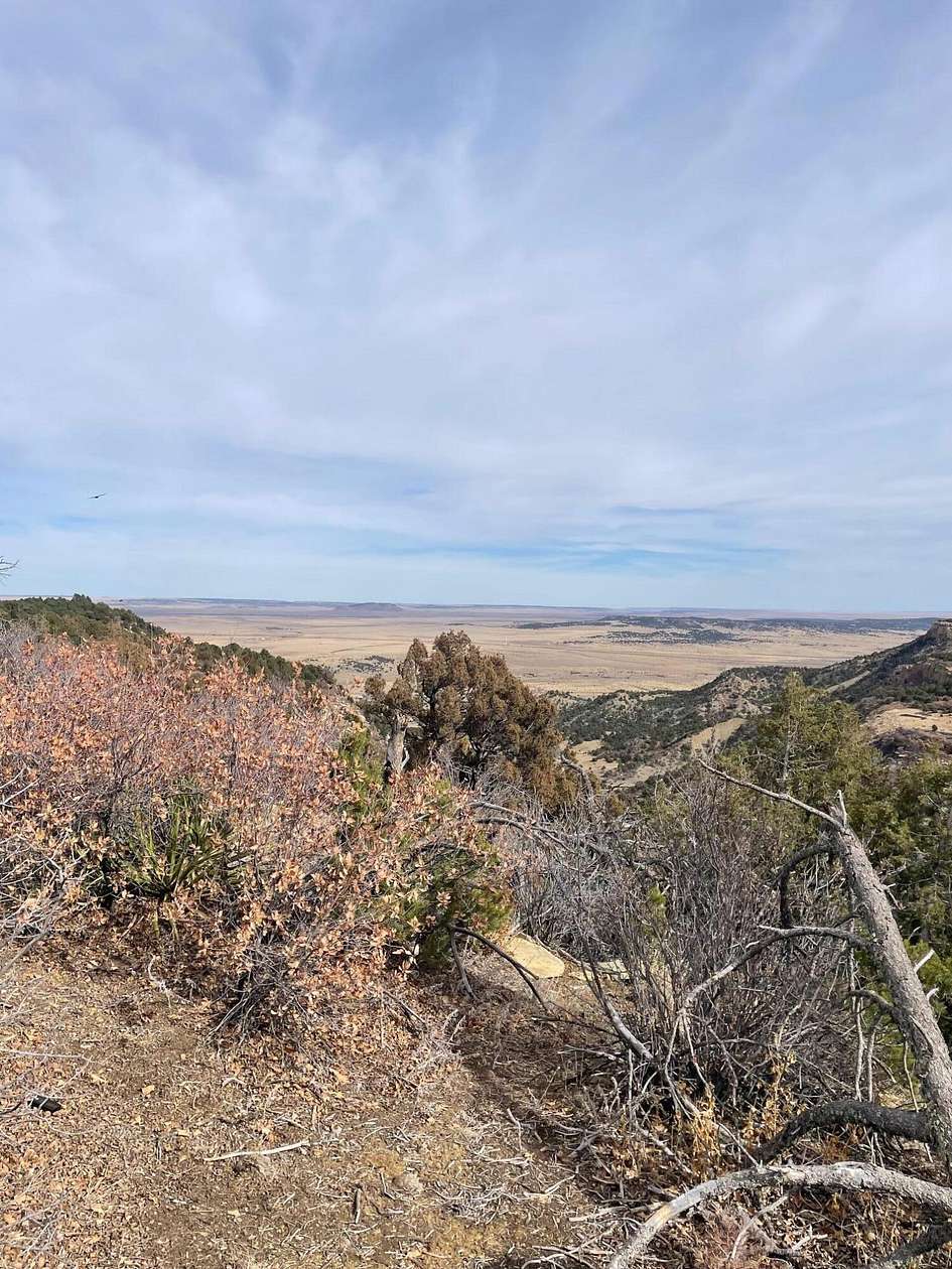 40 Acres of Land for Sale in Trinidad, Colorado