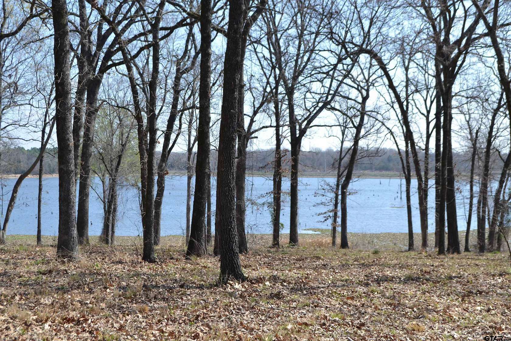 1 Acre of Residential Land for Sale in Yantis, Texas
