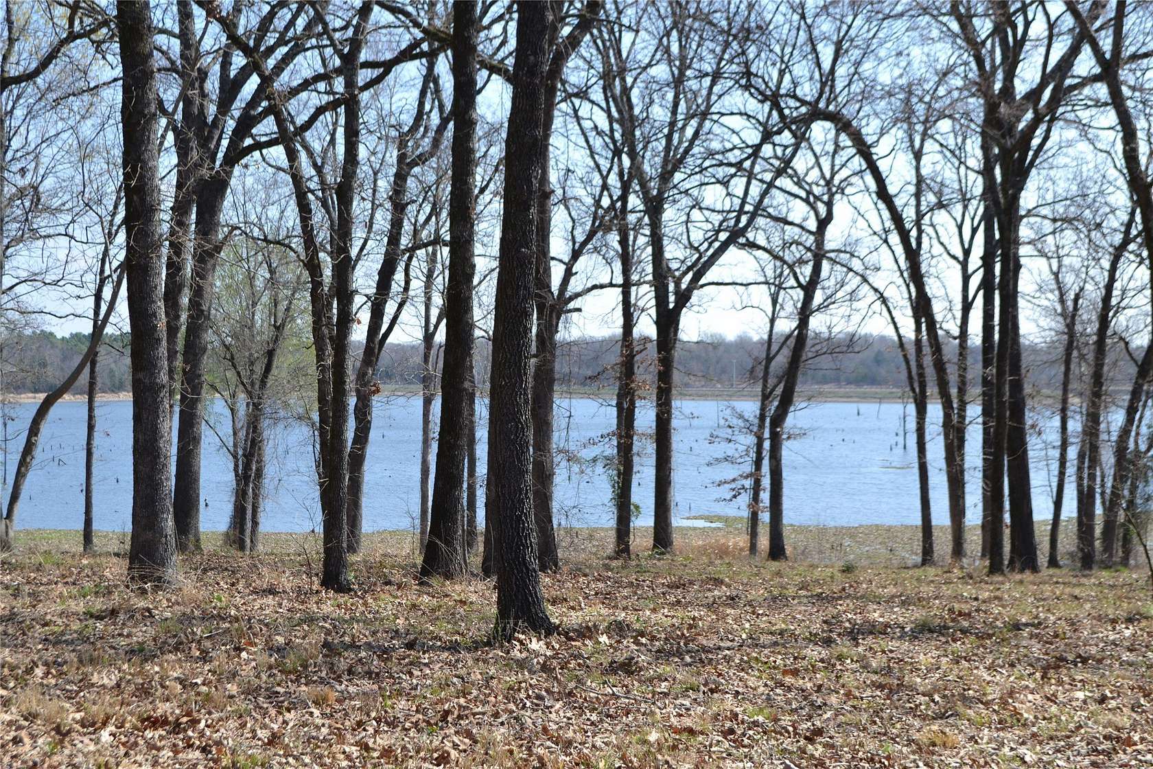 1 Acre of Residential Land for Sale in Yantis, Texas