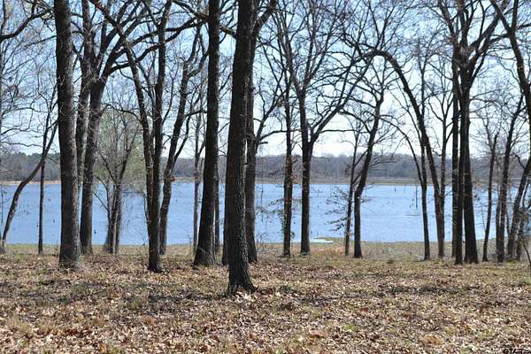1 Acre of Residential Land for Sale in Yantis, Texas