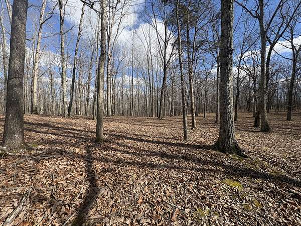 45 Acres of Recreational & Residential Land for Sale in Waverly, Tennessee
