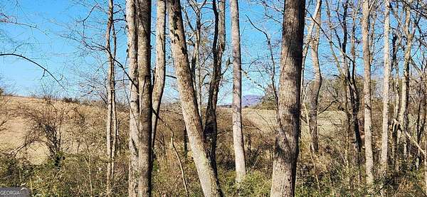 17.6 Acres of Recreational & Residential Land for Sale in Gainesville, Georgia