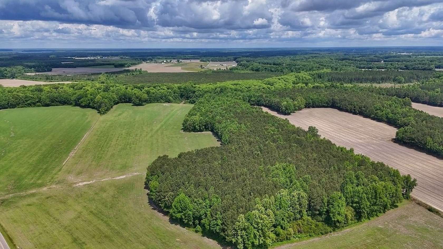 72 Acres of Land for Sale in Tyner, North Carolina