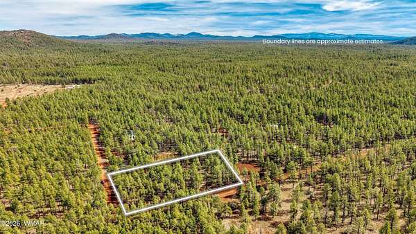1 Acre of Residential Land for Sale in Lakeside, Arizona