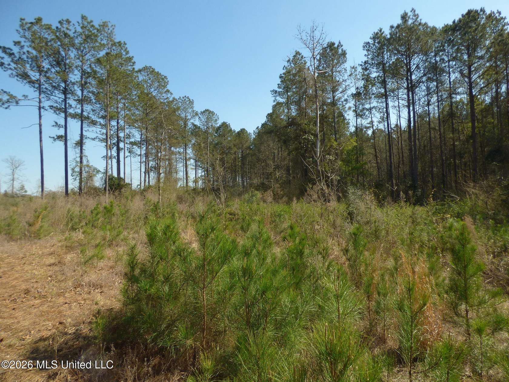 5 Acres of Residential Land for Sale in Jayess, Mississippi
