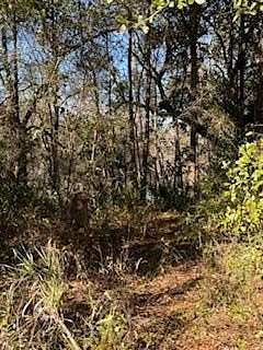 0.33 Acres of Residential Land for Sale in Sopchoppy, Florida