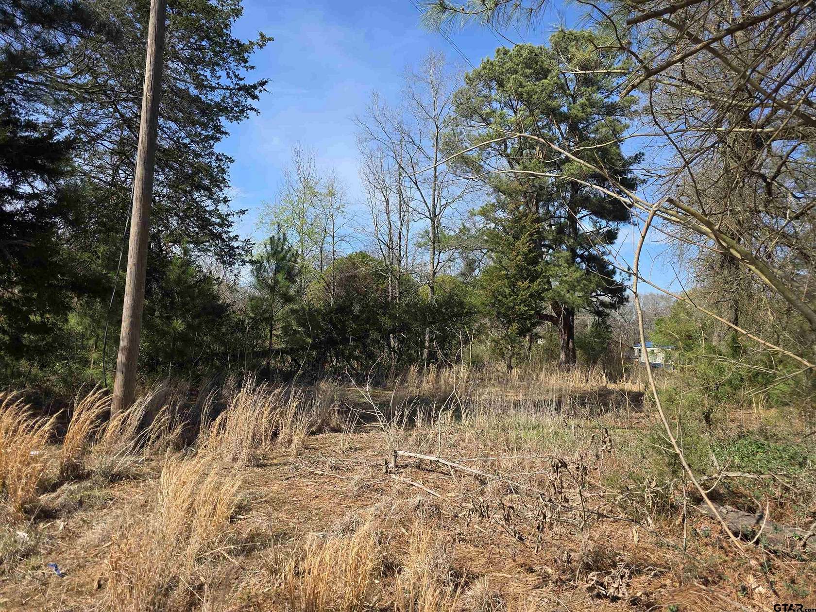 2 Acres of Residential Land for Sale in Pittsburg, Texas